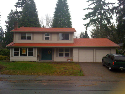 New Roof